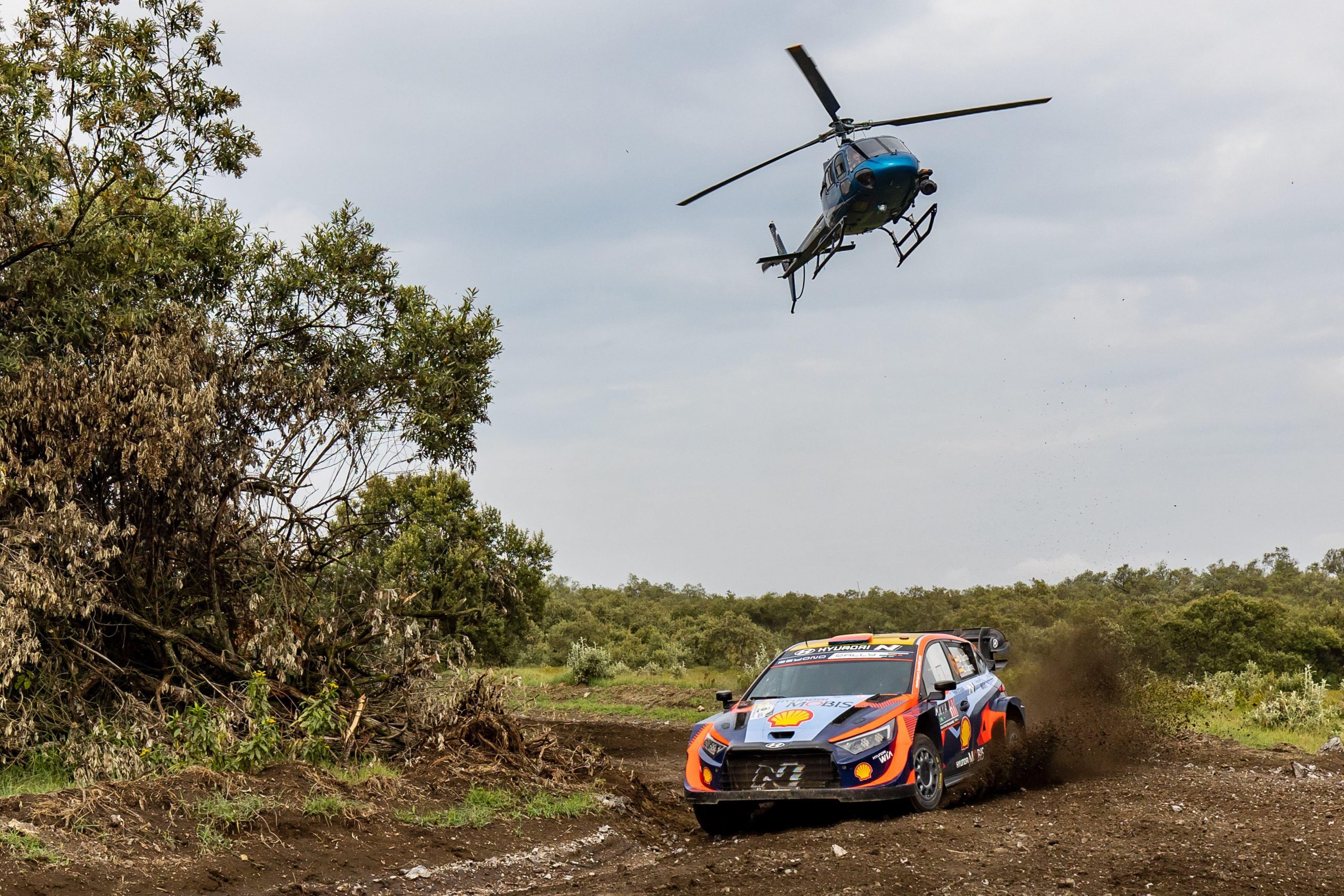 Dani Sordo suma importantes puntos para su equipo en un Rally Safari muy duro